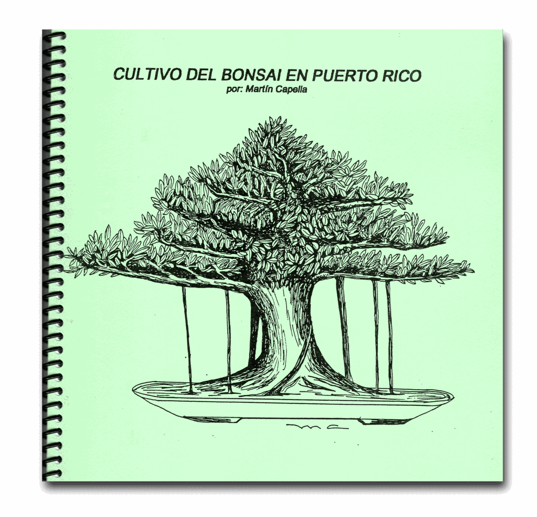 Portada de la primera edición