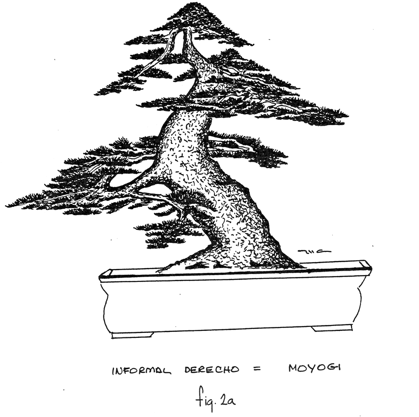 Fig. 2a: Informal derecho Moyogi