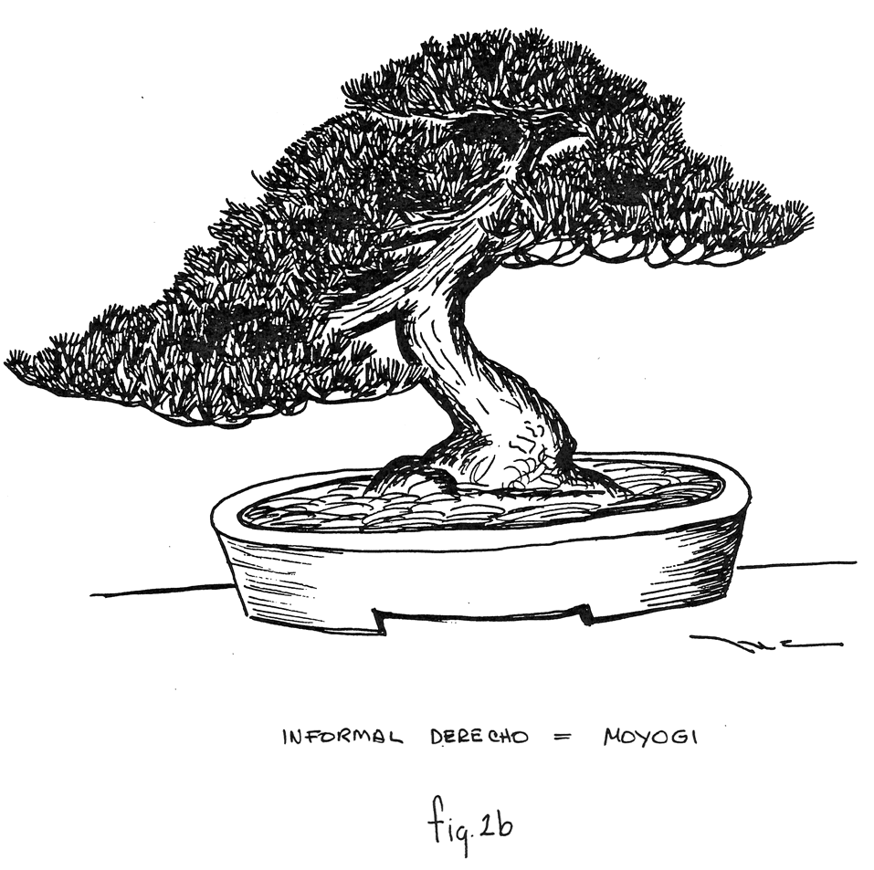 Fig. 2b: Informal Derecho Moyogi