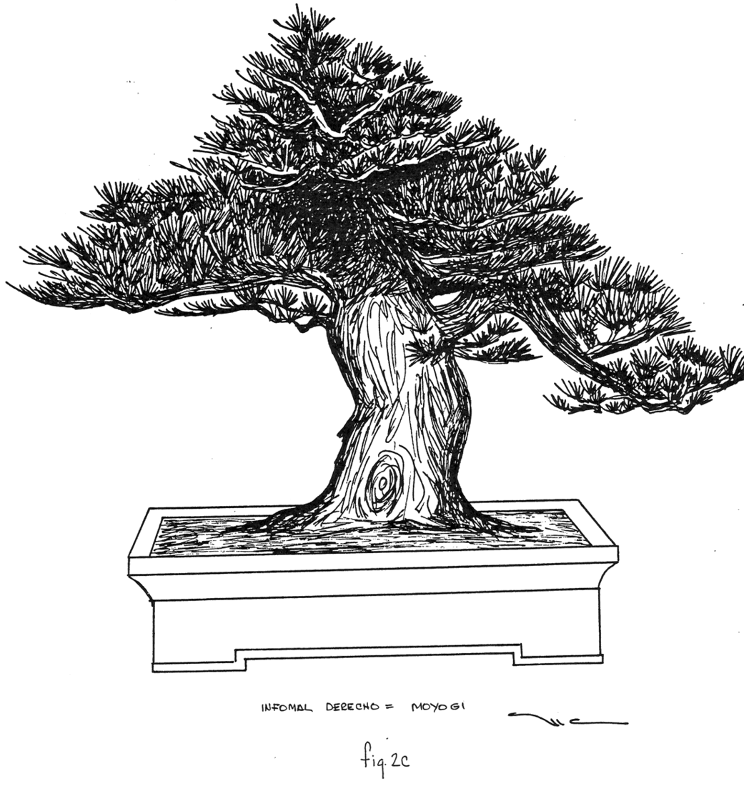 Fig. 2c: Informal Derecho Moyogi