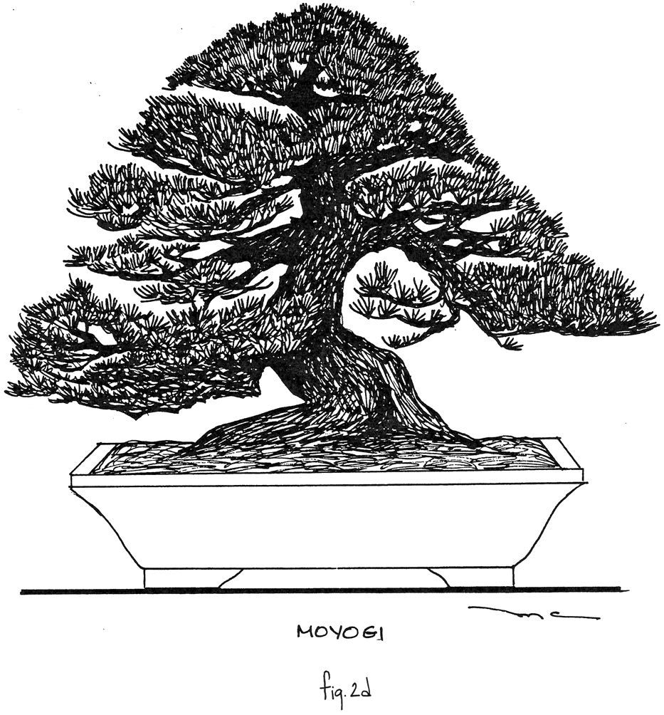 Fig. 2d: Moyogi
