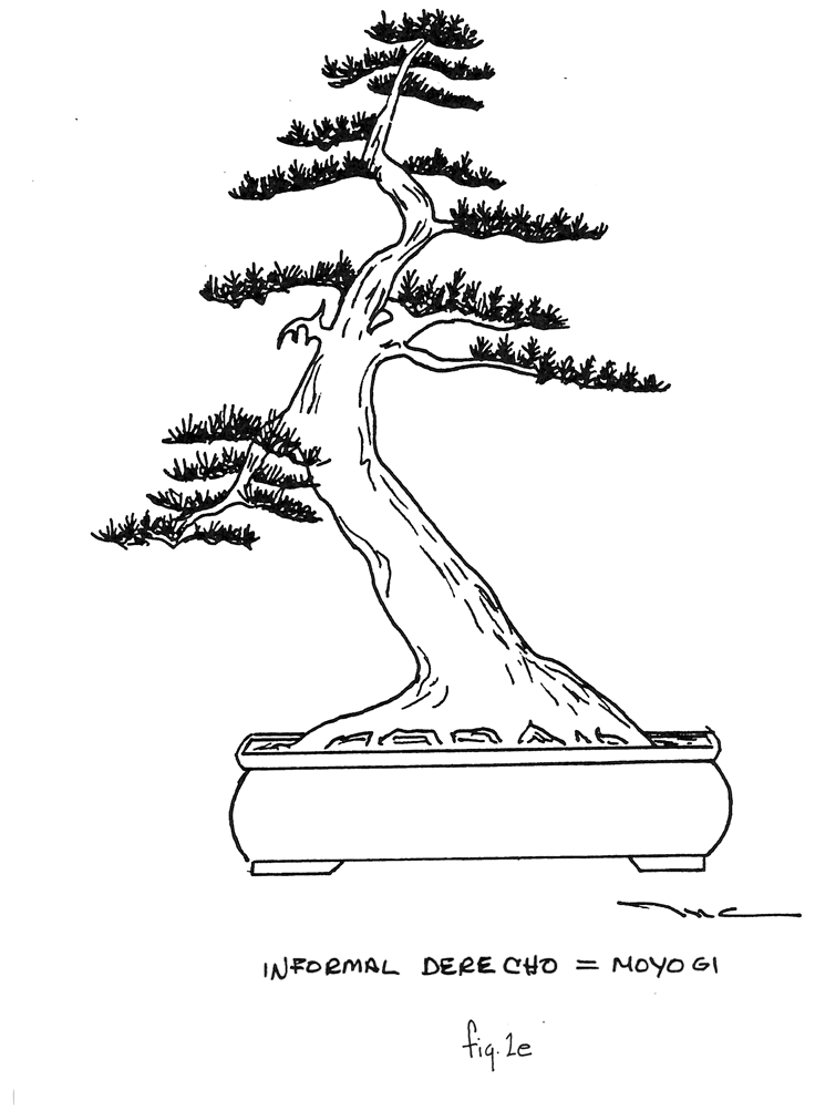 Fig. 2e: Informal Derecho = Moyogi