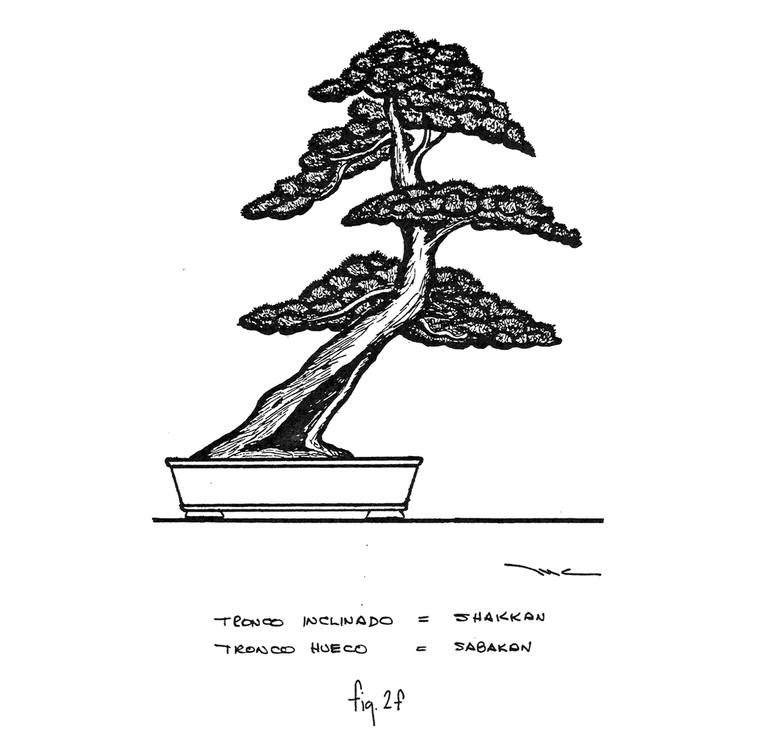 Fig. 2f: Shakkan y Sabakan