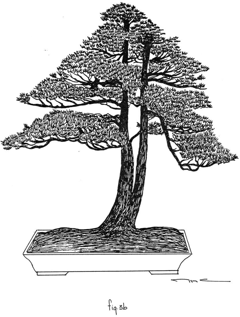 Fig. 3b: Doble Tronco