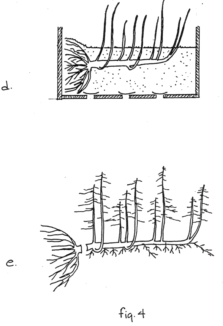 Fig. 4 d y e