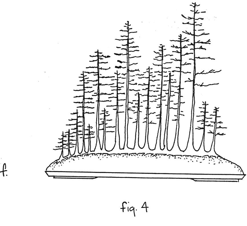 Fig. 4f