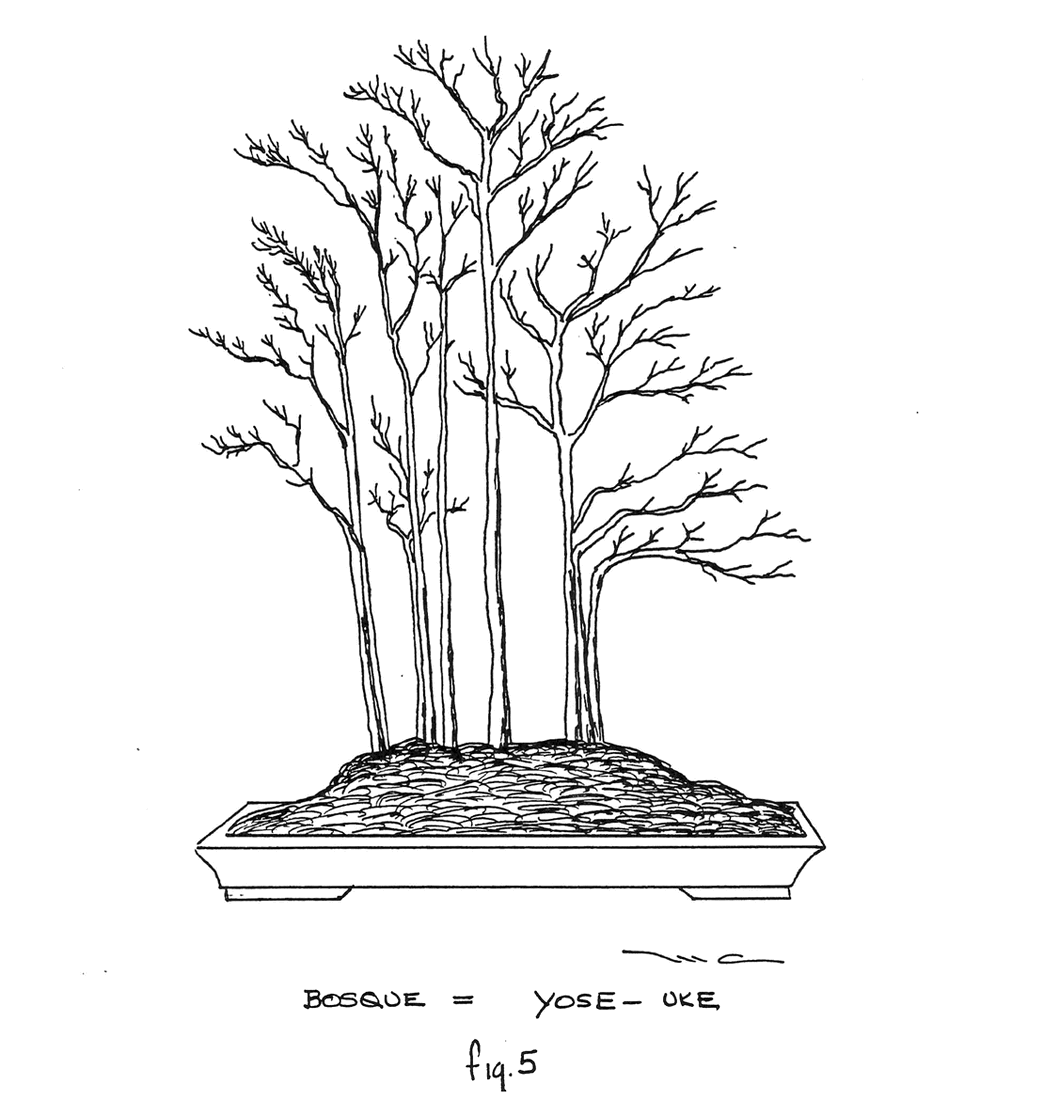 Fig. 5: Bosque Yose-Uke