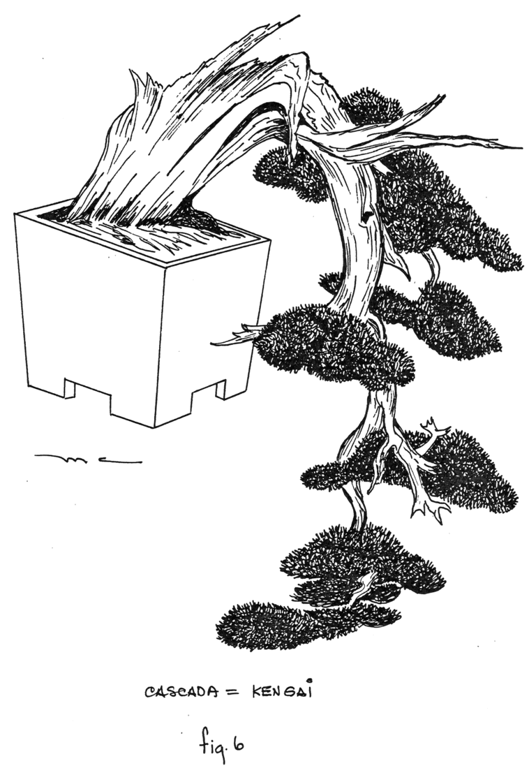Fig. 6: Cascada = Kengai