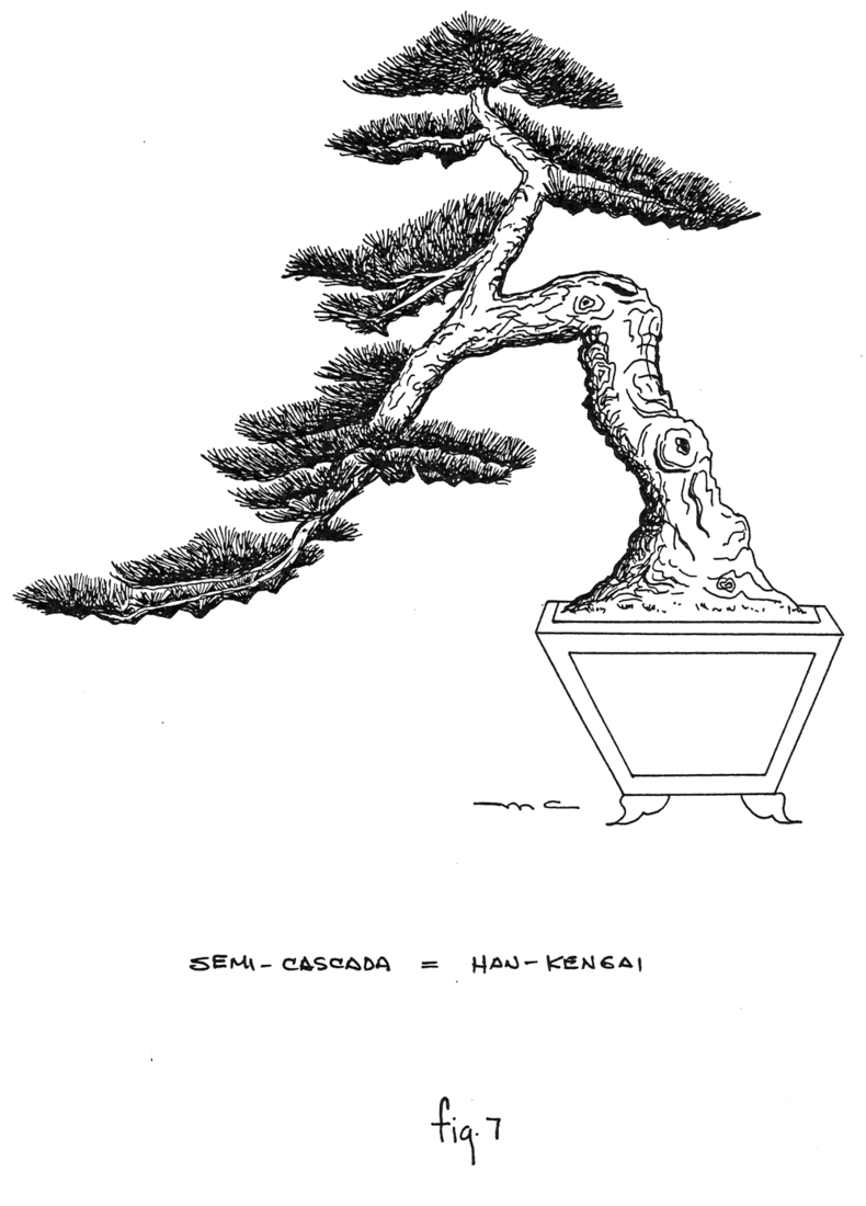 Fig. 7: Semi-Cascada = Han-Kengai
