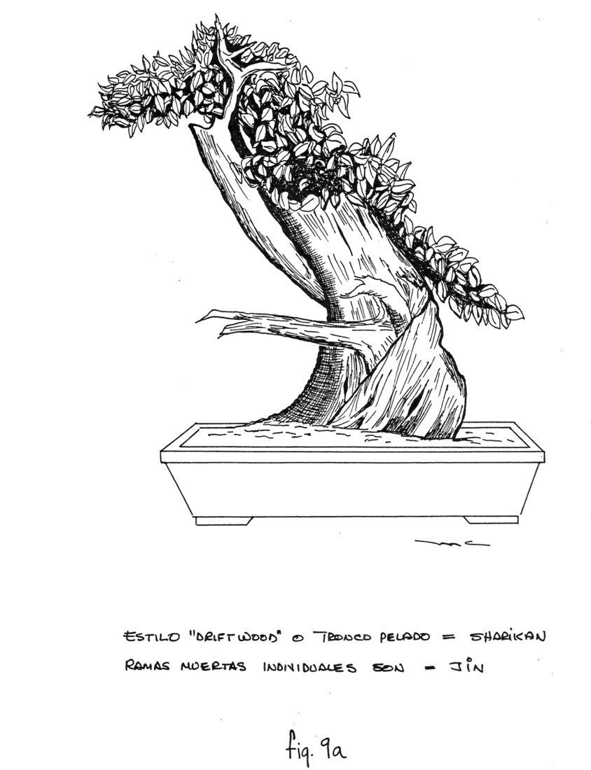 Fig. 9a: Estilo &ldquo;Driftwood&rdquo; o tronco pelado = Sharkan, ramas muertas individuales = Son Jin
