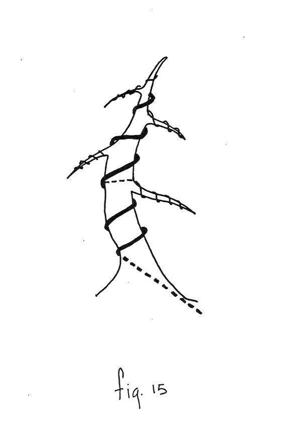 Fig. 15: Alambrado