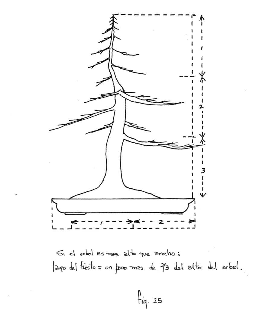Fig. 25: Si el árbol es más alto que ancho