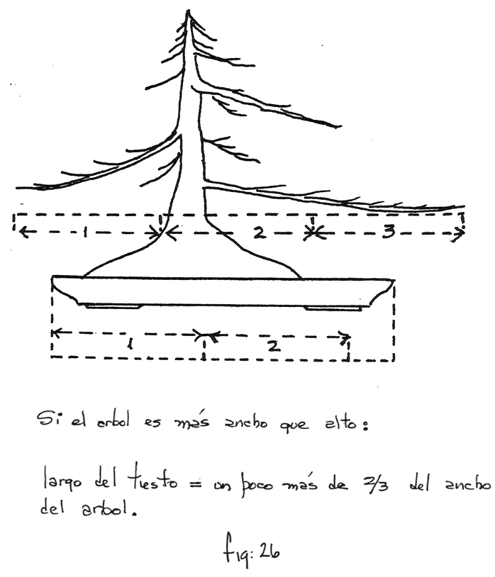 Fig. 26: Si el árbol es más ancho que alto