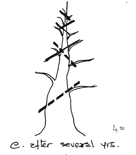 Fig. 30e