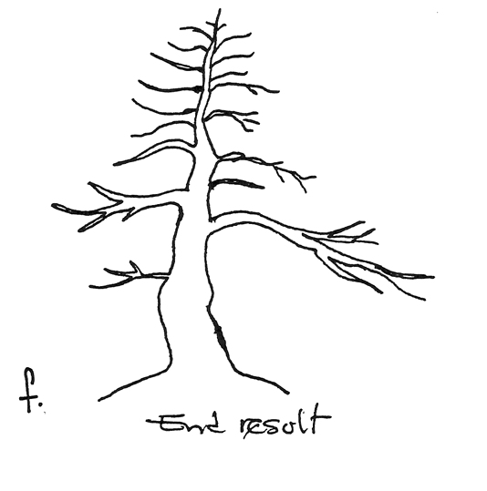 Fig. 30f: Forma que tendrá el árbol en el futuro