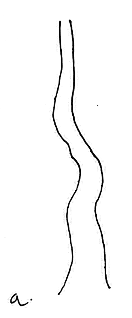 Fig. 31a: Árbol tal y como lo obtuvimos
