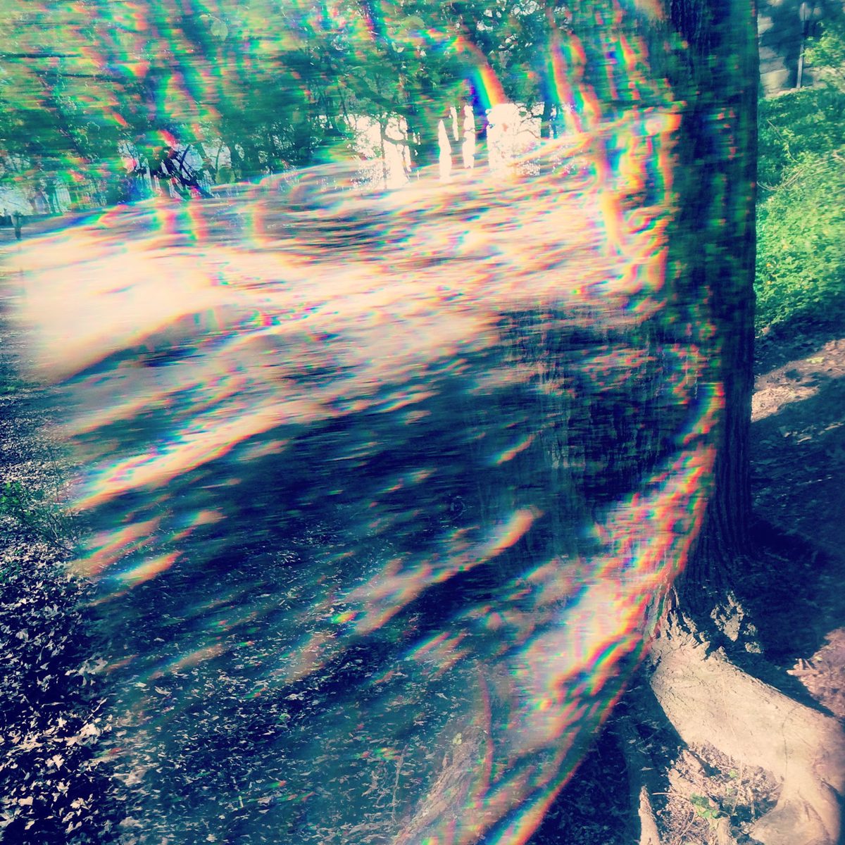 A Park Path, Split Into Colors