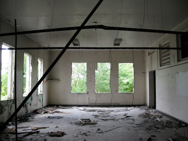 Trees Where the Ceiling Used to Matter