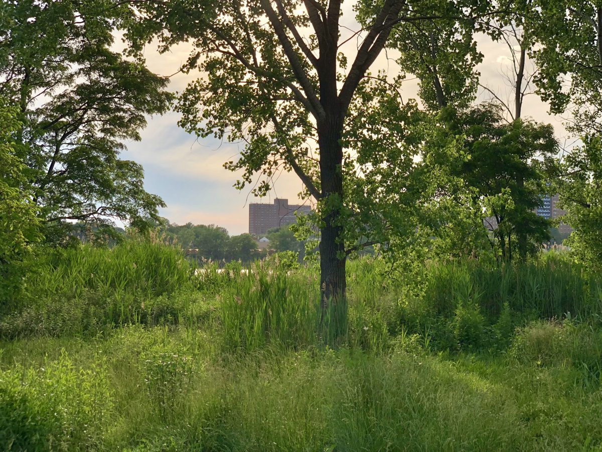 Vacant Lot